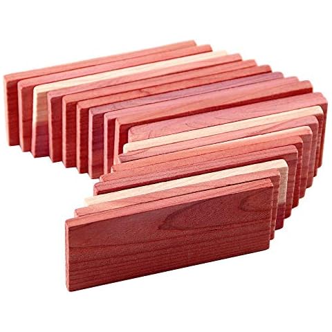 Cedar Space feature image