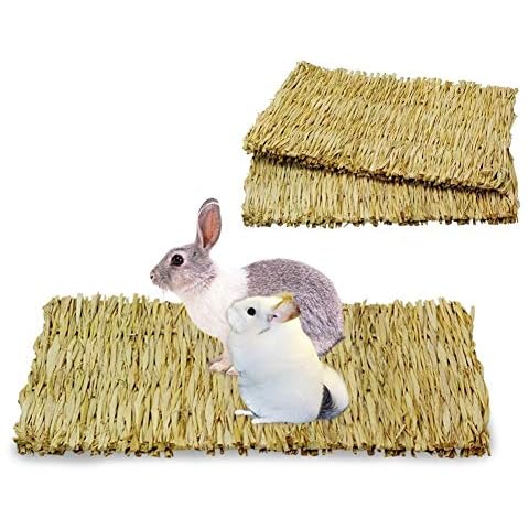 Cedmon feature image