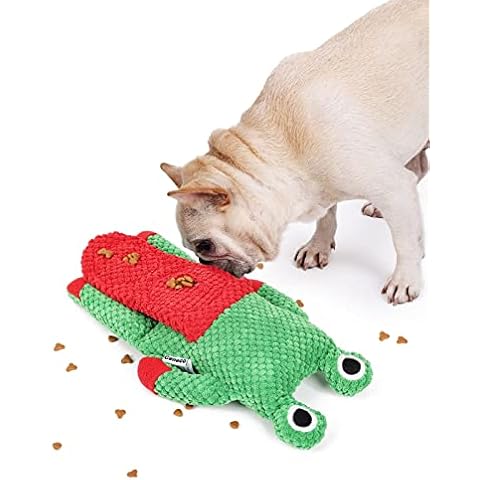Ceneco feature image