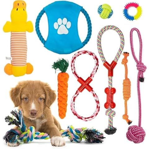Chew Toys for Dogs