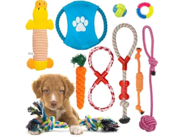 Chew Toys for Dogs Thumbnail
