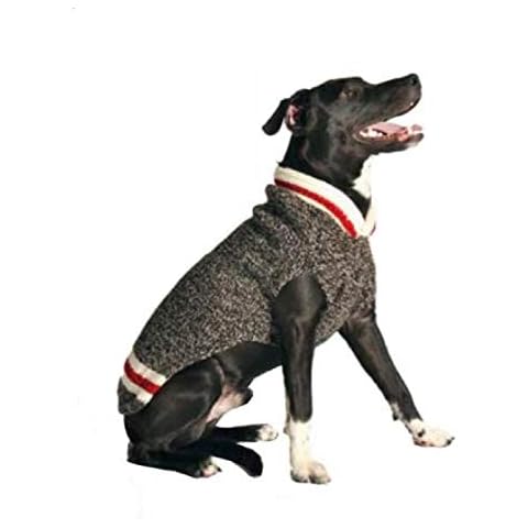 Chilly Dog feature image