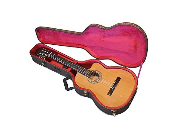 Classical Guitar Cases Thumbnail