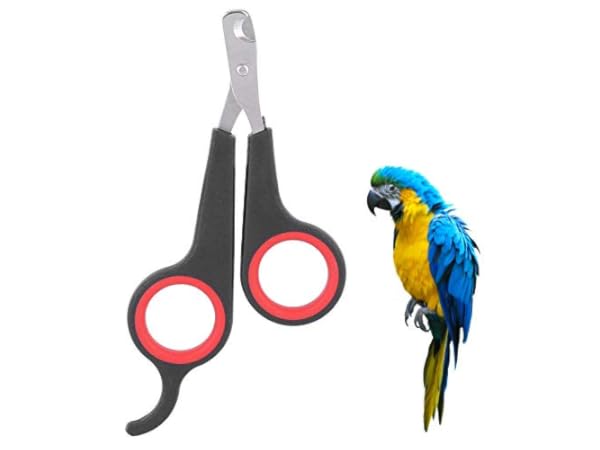 Claw Care for Small Animals Thumbnail