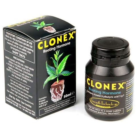 Clonex feature image