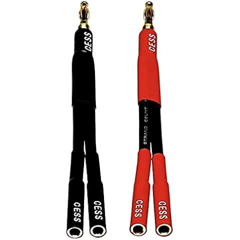 CNCESS feature image