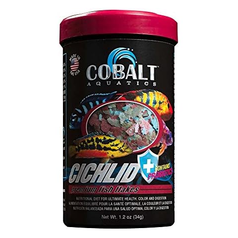 Cobalt Aquatics feature image