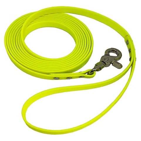 Collar & Leash thumbnail