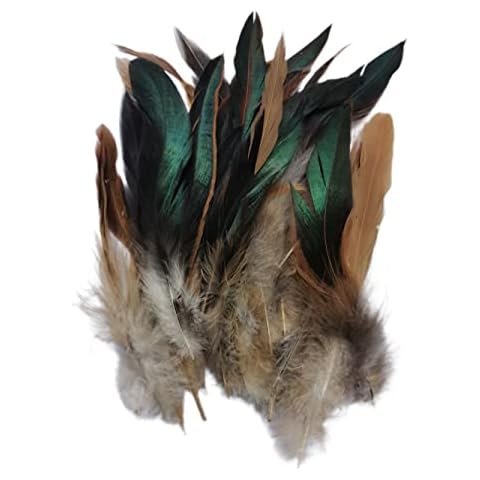 COMFEVE feature image