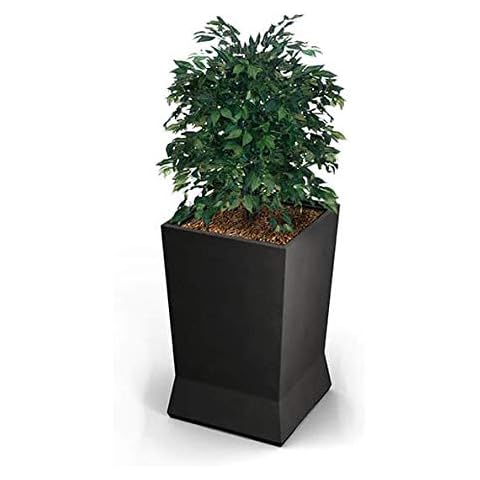 Commercial Zone feature image
