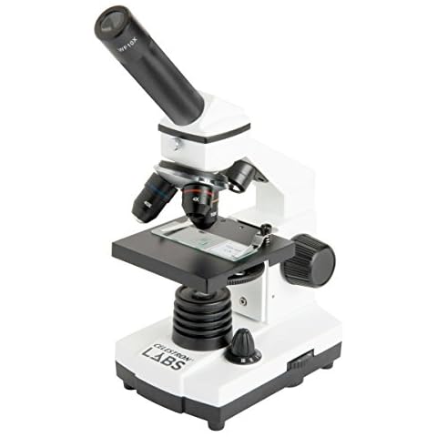 Compound Microscopes