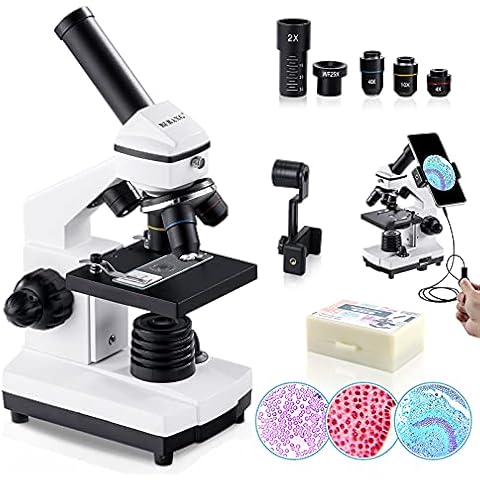 Compound Microscopes