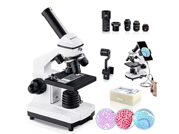Compound Microscopes Thumbnail