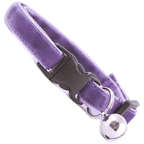 Cool Cat Collars feature image