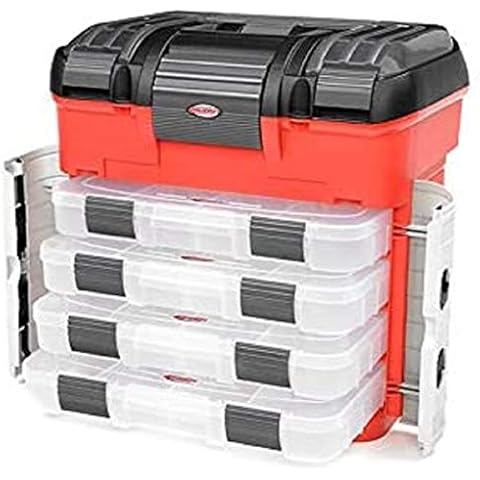 Corally feature image