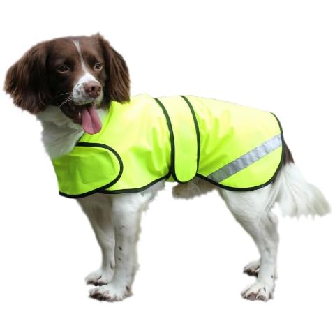 Cosipet Ltd. feature image