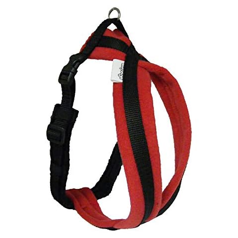 Cosydogs feature image