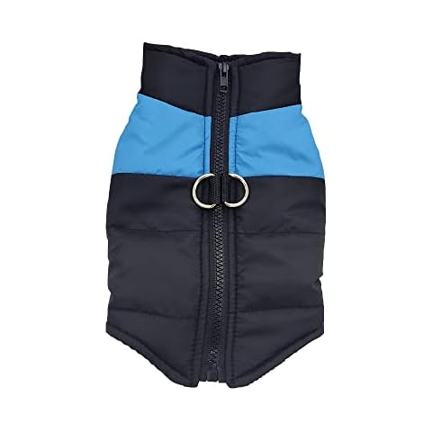 COXNSXX feature image