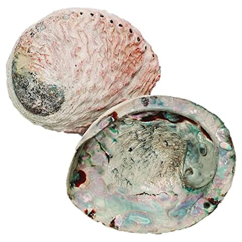 Craftmoor feature image