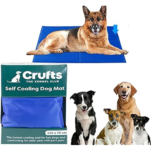 Crufts feature image