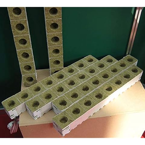 Cultilene feature image