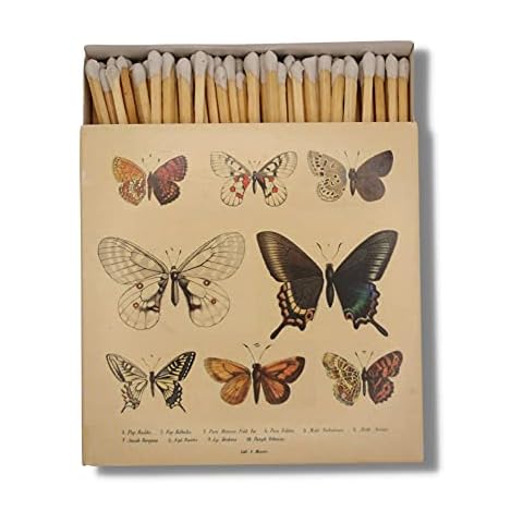 Curator feature image