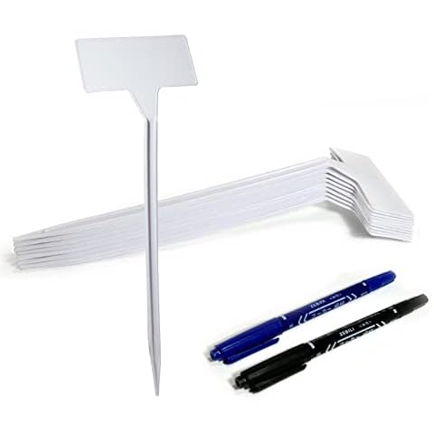 CUWELT feature image