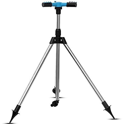 DDSFDS feature image