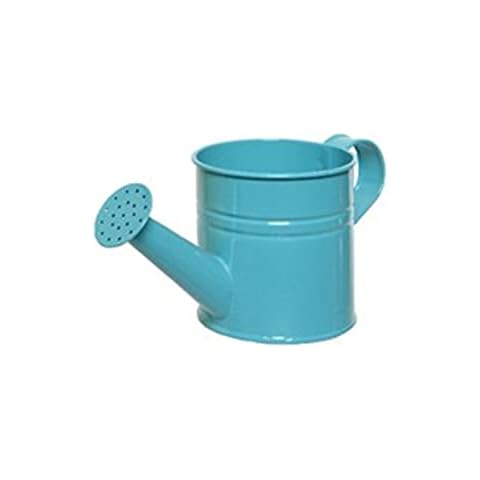 Decoris feature image