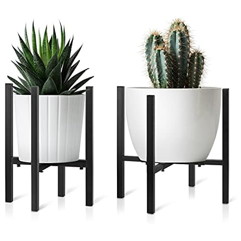 Decorlife feature image