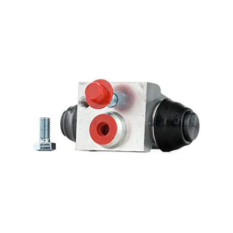 Delphi Car Wheel Cylinders