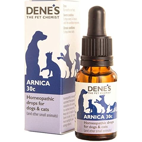 Denes feature image
