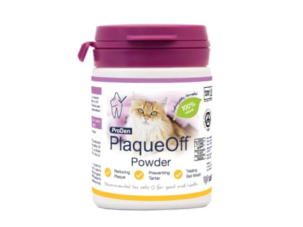 Dental Care for Cats Thumbnail