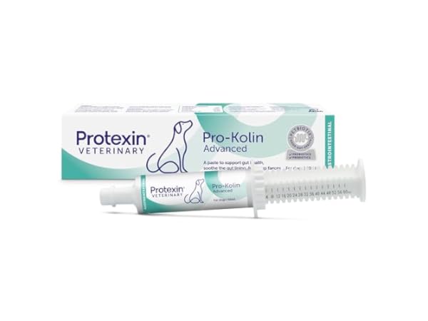 Digestive Remedies for Dogs Thumbnail