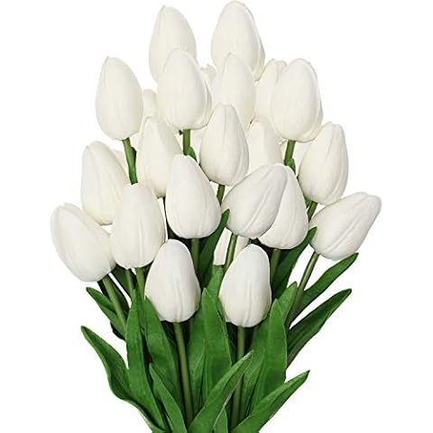 DILATATA feature image