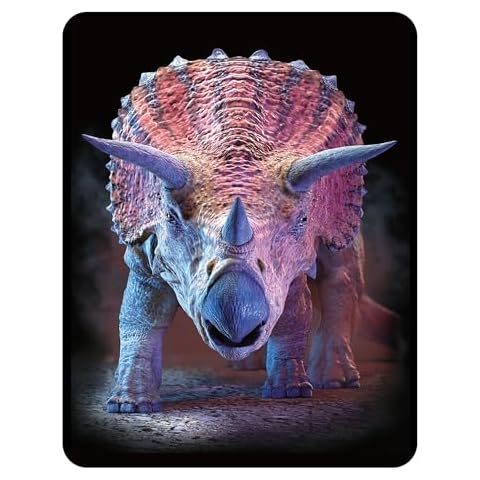 Dinosaurs Fridge Magnets