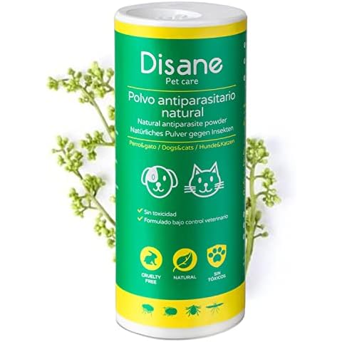DISANE feature image