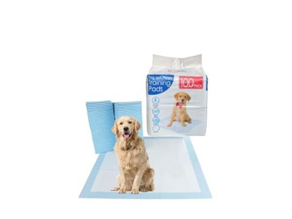 Disposable Dog Training Pads thumbnail