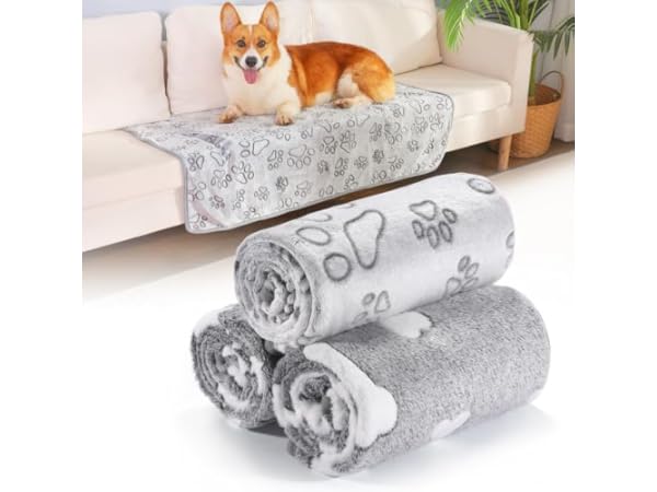 Dog Bed Blankets Thumbnail