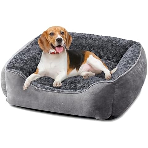 Dog Beds