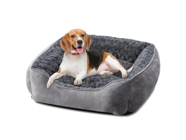 Dog Beds Thumbnail