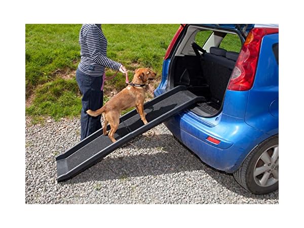 Dog Car Ramps Thumbnail