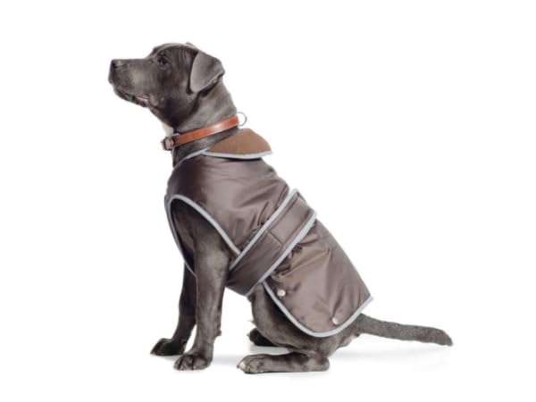 Dog Coats Thumbnail