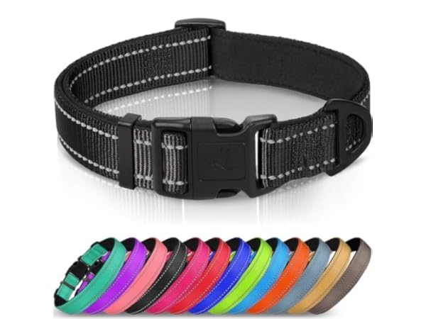 Dog Collars Thumbnail