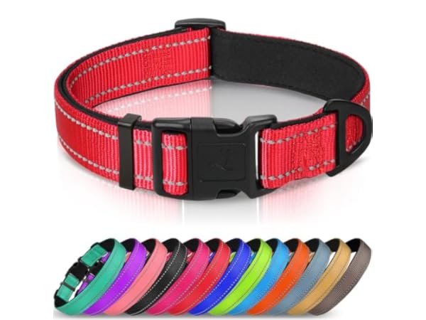 Dog Collars Thumbnail
