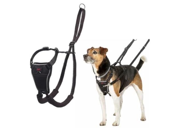 Dog Halter Harnesses Thumbnail