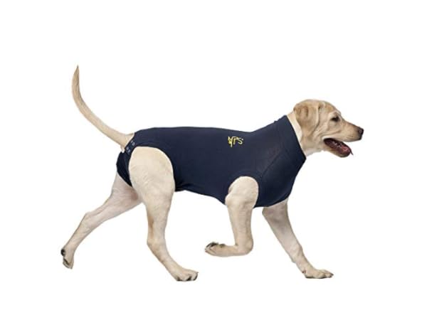 Dog Shirts Thumbnail