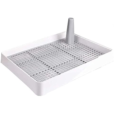 Dog Toilet feature image