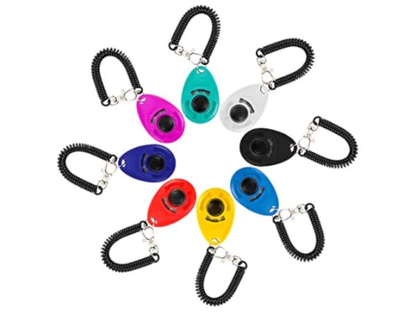 Dog Training Clickers Thumbnail
