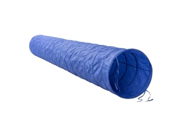 Dog Tunnels thumbnail